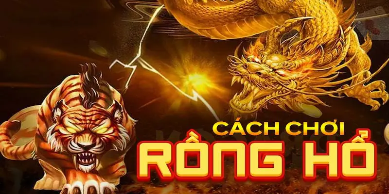 Chơi rồng hổ luôn thắng
