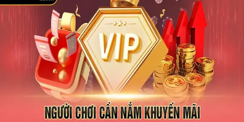 Khuyến mãi VIP Vì sao khuyến mãi VIP được ưa chuộng